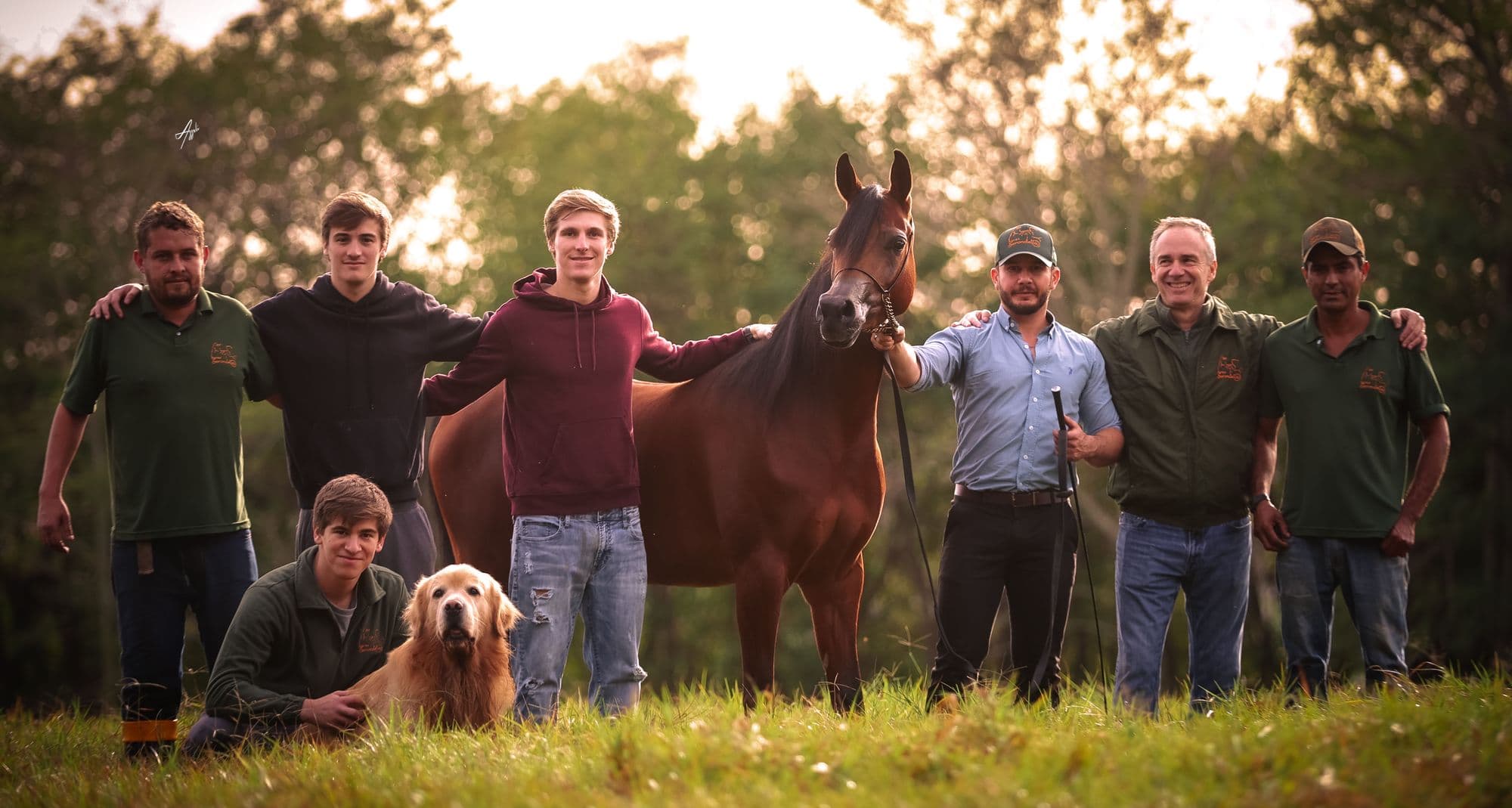 The Amorosino family with a horse and golden retriever in a golden field